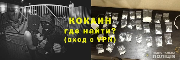 тгк Каменка
