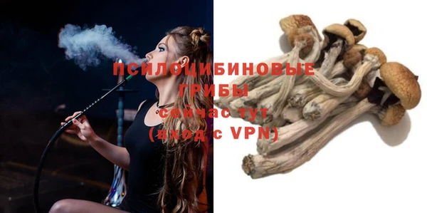 jwh Каменногорск