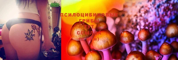 тгк Каменка