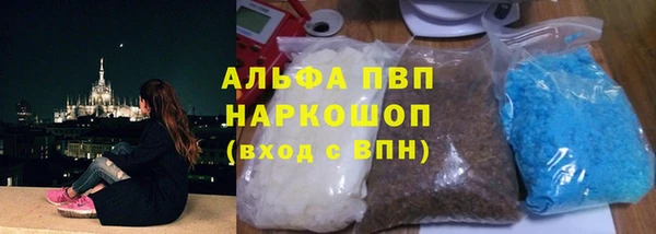 тгк Каменка