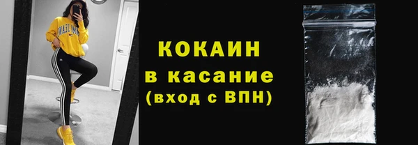тгк Каменка