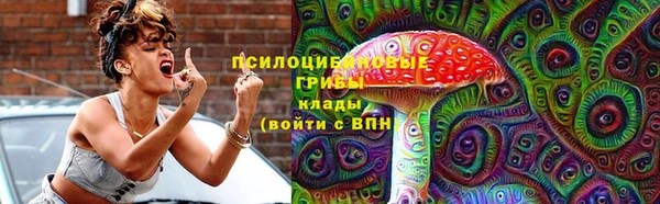 тгк Каменка