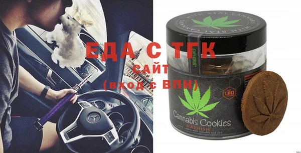 тгк Каменка