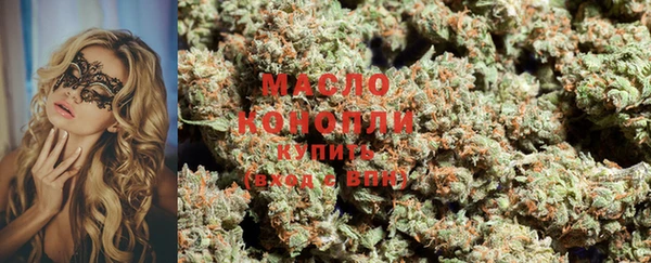 тгк Каменка