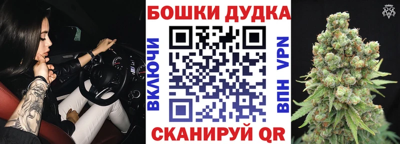 Бошки Шишки SATIVA & INDICA  Купить закладки  Новочеркасск 
